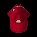 Daszek red inside.webp