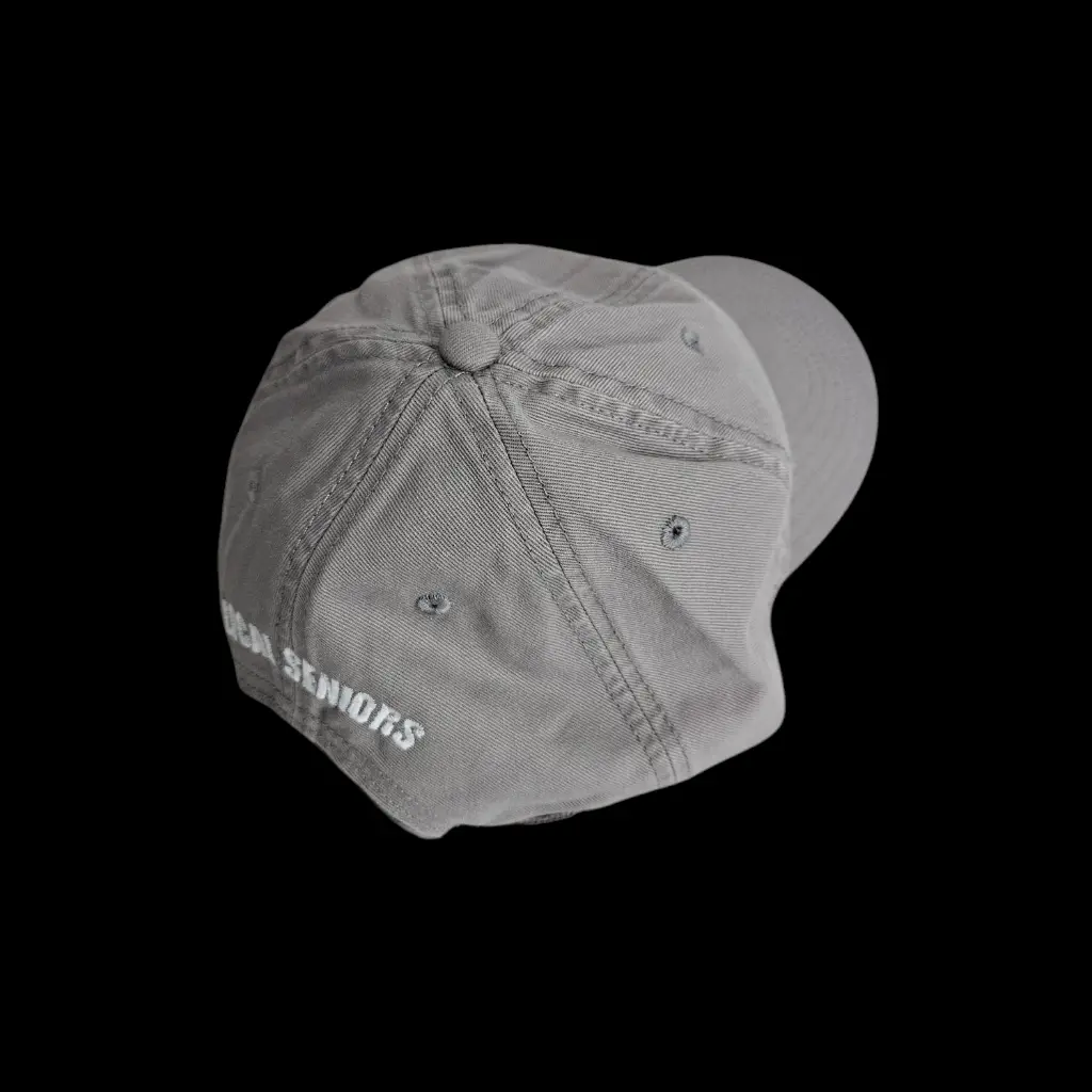 Daszek grey back.webp