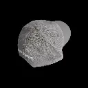 Daszek grey back.webp