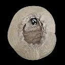 Babcia Stenia - Bucket Hat - Champagne Inside.webp